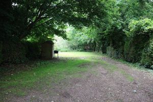 Photo 11- click for photo gallery